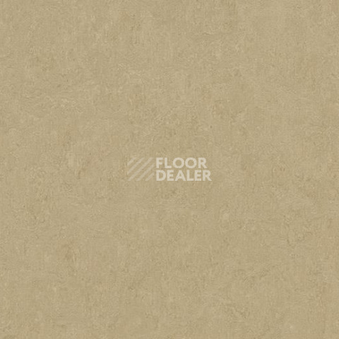 Линолеум Forbo Marmoleum Marbled Fresco 3890-389035 oat фото 1 | FLOORDEALER